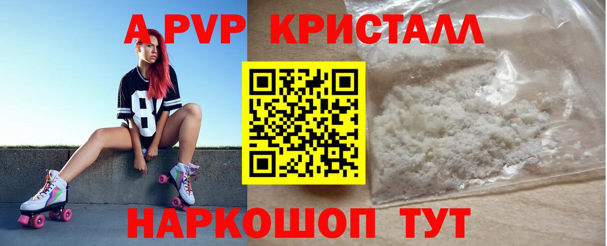 A PVP СК КРИС Гатчина