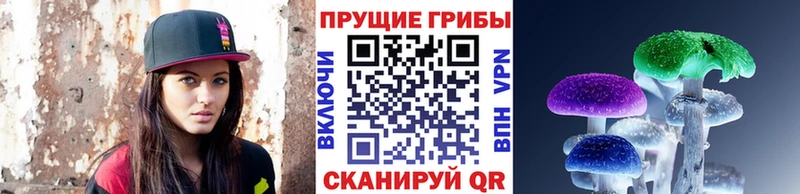 Галлюциногенные грибы Psilocybine cubensis  Гатчина 