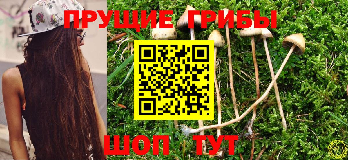 Галлюциногенные грибы GOLDEN TEACHER  Вход с VPN  Псилоцибиновые грибы Cubensis  Гатчина 