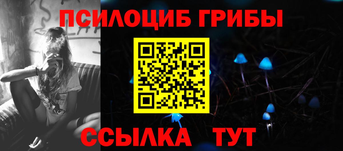 Галлюциногенные грибы Psilocybe Гатчина